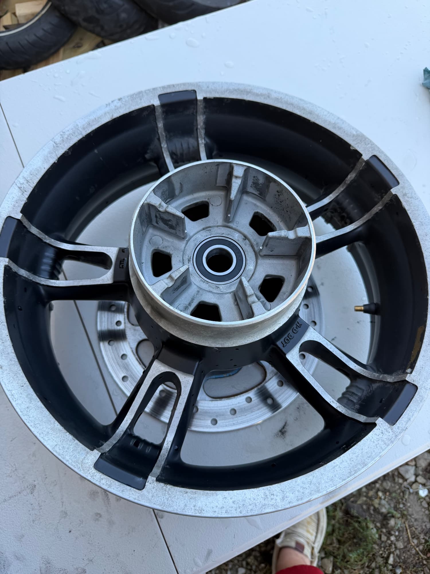 New shoes and bearings on a twin cam